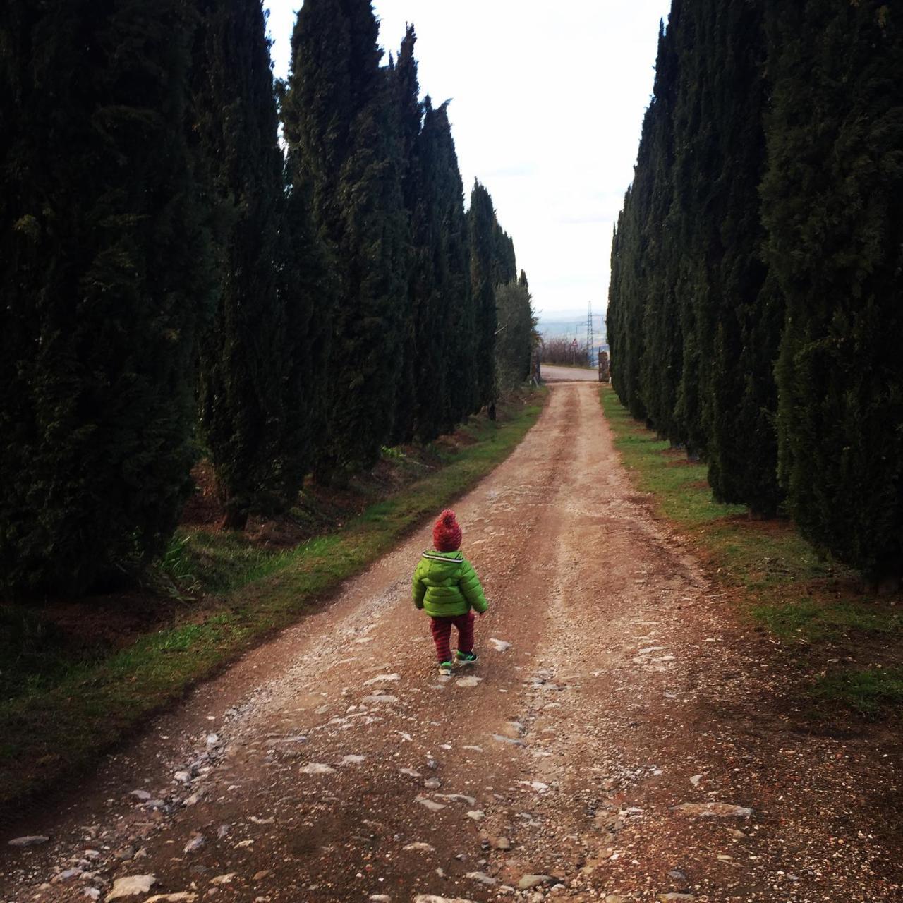Az.Agr. Il Cavalleggero Campiglia dʼOrcia Zewnętrze zdjęcie