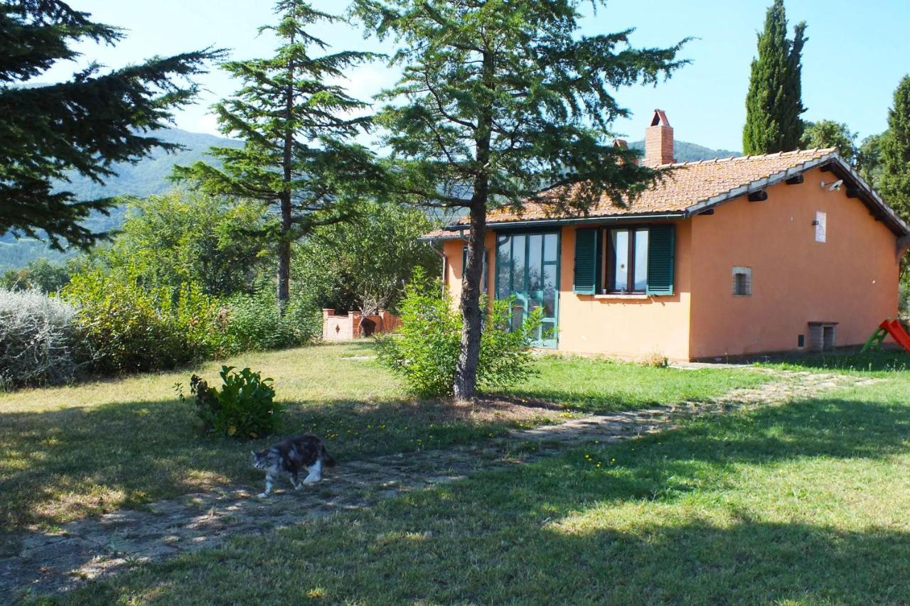 Az.Agr. Il Cavalleggero Campiglia dʼOrcia Zewnętrze zdjęcie
