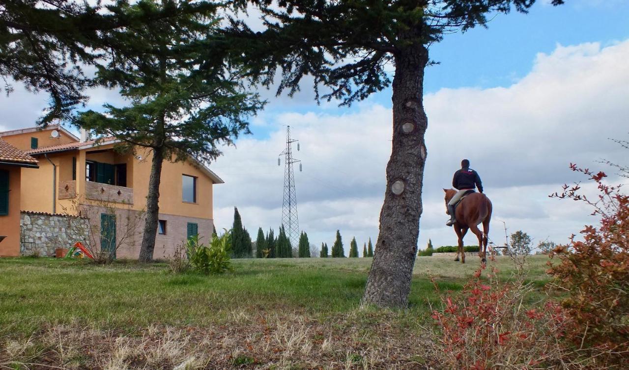 Az.Agr. Il Cavalleggero Campiglia dʼOrcia Zewnętrze zdjęcie