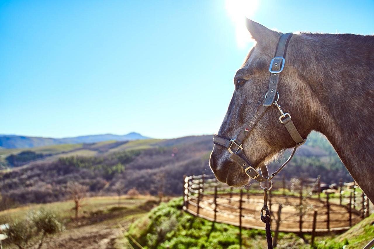 Az.Agr. Il Cavalleggero Campiglia dʼOrcia Zewnętrze zdjęcie